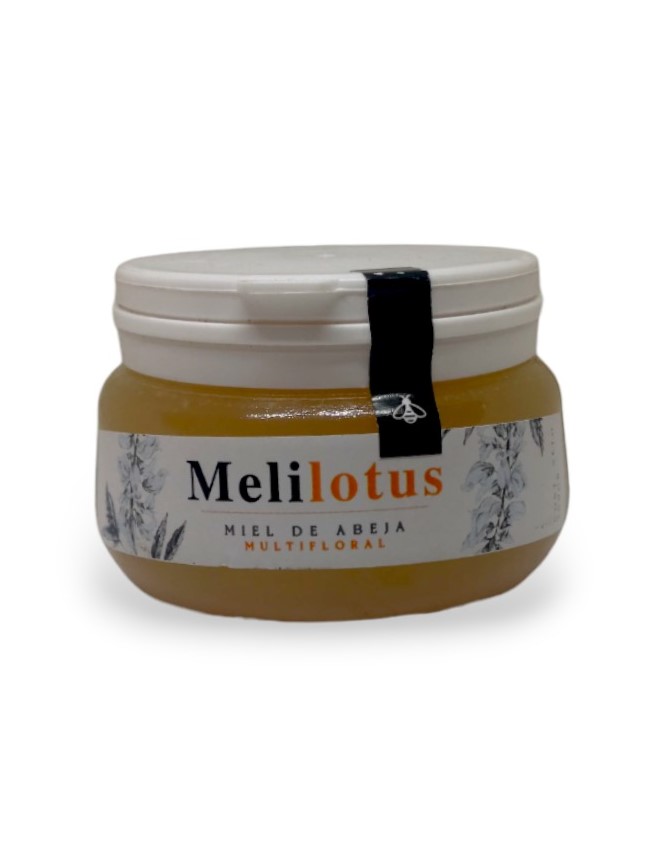 MIEL MELILOTUS X PET 300 GRS