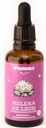 ​​​TINTURA MADRE MELENA DE LEON FUNGI SOUL X 50 ML -MEMORIA Y CONCENTRACION