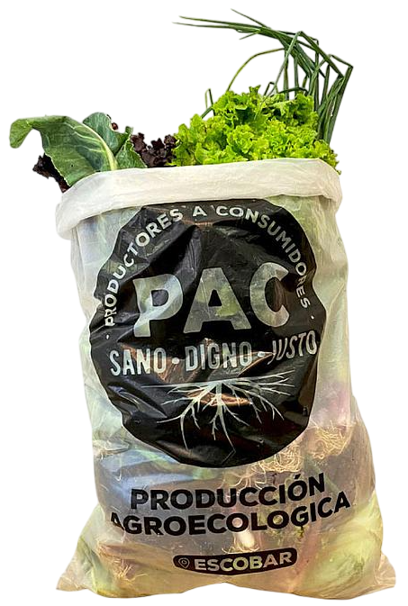 ​BOLSON VERDURAS AGROECOLOGICAS DE ESTACION X 5 KILOS