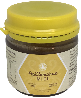MIEL APICOMAHUE X 250G