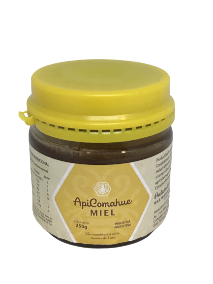 MIEL APICOMAHUE X 250G