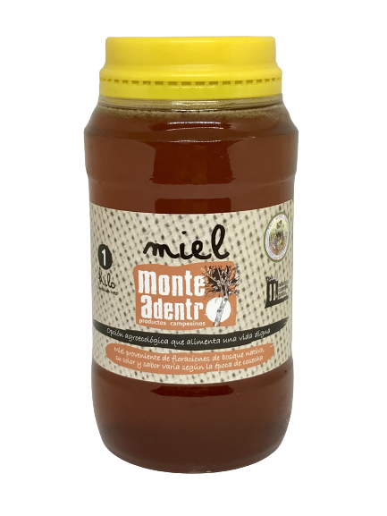 MIEL MONTE ADENTRO X 1KG