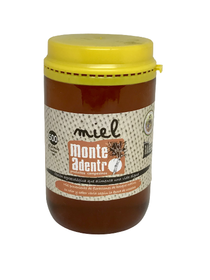 MIEL MONTE ADENTRO X 500 GRS