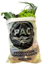 [p1056] ​​BOLSON VERDURAS AGROECOLOGICAS DE ESTACION X 5 KILOS